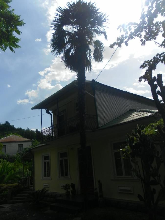 Гостевой дом Guest House Lasha Мцване-Концхи