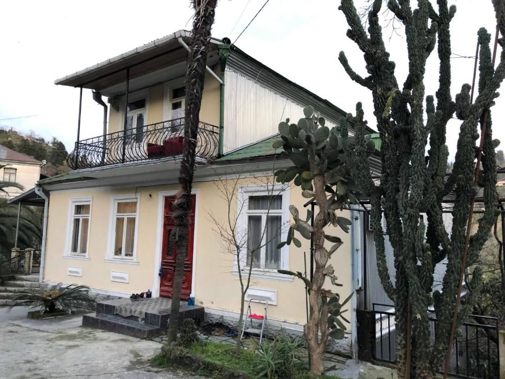 Гостевой дом Guest House Lasha Мцване-Концхи-45