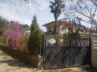 Гостевой дом Guest House Lasha Мцване-Концхи Двухместный номер с 1 кроватью и видом на горы-25